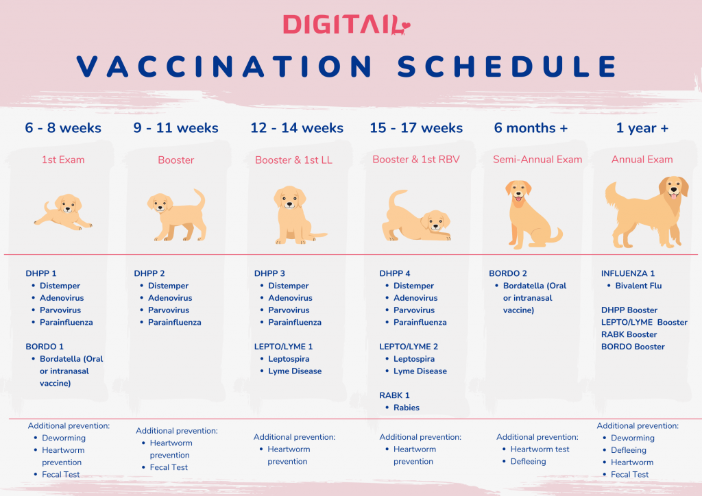 Puppy Vaccination Schedule Chart