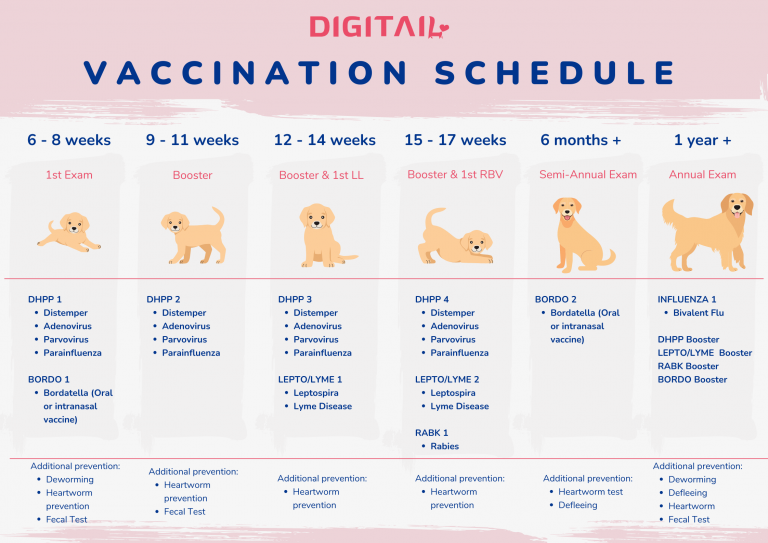 Puppy Vaccines: All You Need To Know - Digitail App